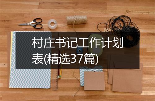 村庄书记工作计划表(精选37篇)