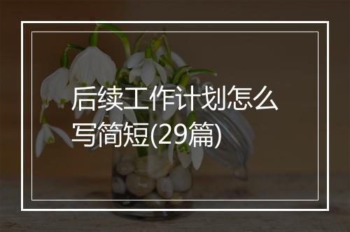 后续工作计划怎么写简短(29篇)