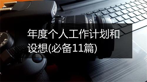 年度个人工作计划和设想(必备11篇)