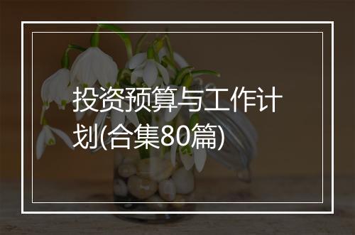 投资预算与工作计划(合集80篇)