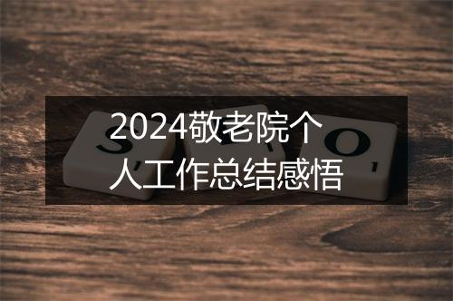 2024敬老院个人工作总结感悟