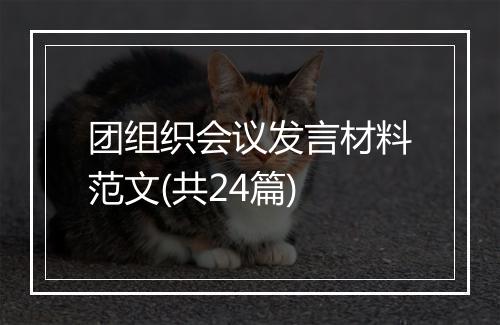 团组织会议发言材料范文(共24篇)