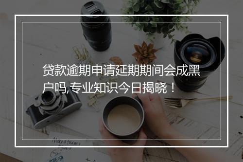 贷款逾期申请延期期间会成黑户吗,专业知识今日揭晓！