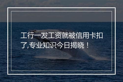 工行一发工资就被信用卡扣了,专业知识今日揭晓！