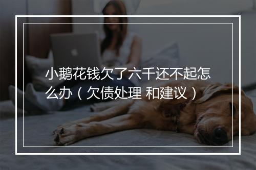 小鹅花钱欠了六千还不起怎么办（欠债处理 和建议）
