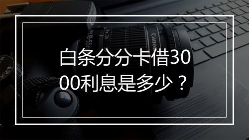 白条分分卡借3000利息是多少？