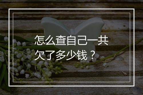 怎么查自己一共欠了多少钱？