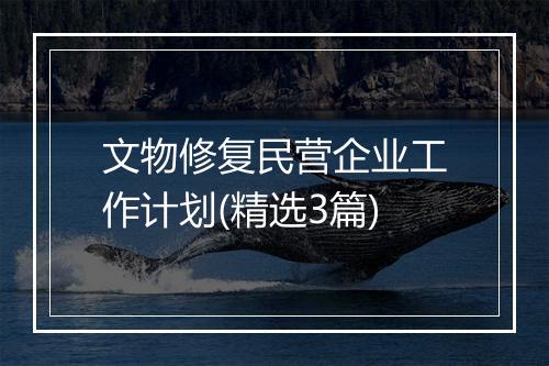 文物修复民营企业工作计划(精选3篇)