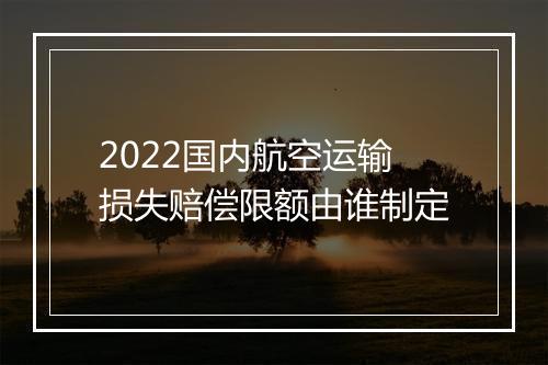 2022国内航空运输损失赔偿限额由谁制定
