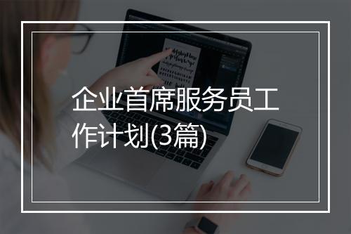 企业首席服务员工作计划(3篇)