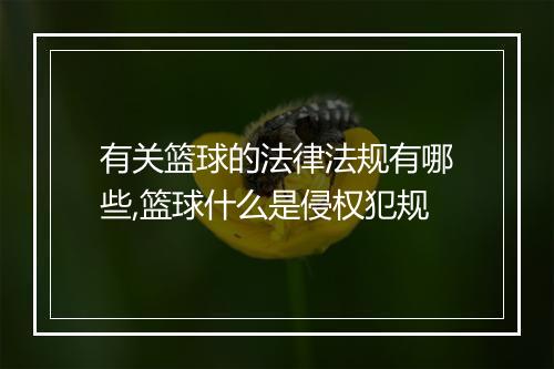 有关篮球的法律法规有哪些,篮球什么是侵权犯规