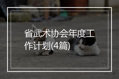 省武术协会年度工作计划(4篇)