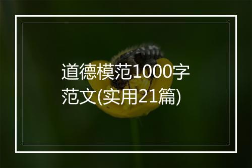 道德模范1000字范文(实用21篇)