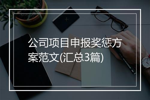 公司项目申报奖惩方案范文(汇总3篇)