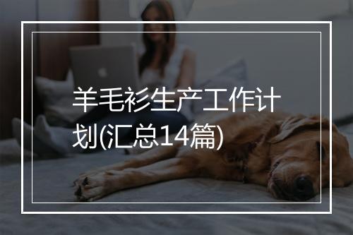 羊毛衫生产工作计划(汇总14篇)