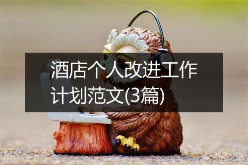 酒店个人改进工作计划范文(3篇)