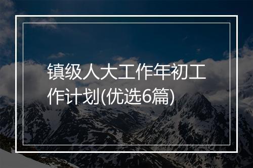 镇级人大工作年初工作计划(优选6篇)
