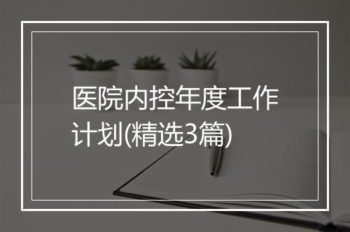 医院内控年度工作计划(精选3篇)