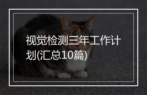 视觉检测三年工作计划(汇总10篇)