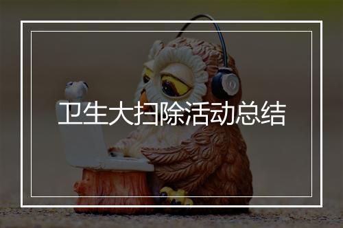 卫生大扫除活动总结