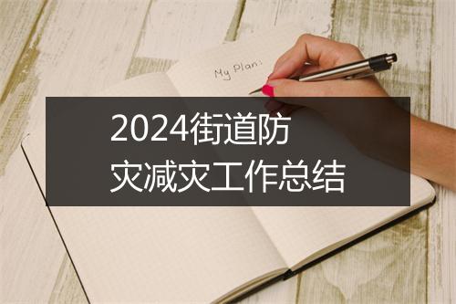 2024街道防灾减灾工作总结
