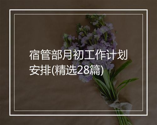宿管部月初工作计划安排(精选28篇)
