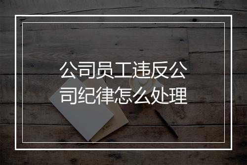 公司员工违反公司纪律怎么处理