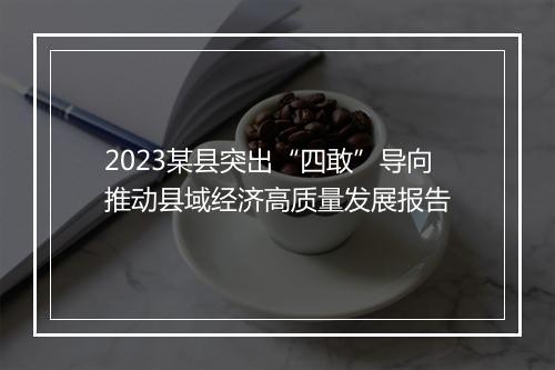 2023某县突出“四敢”导向推动县域经济高质量发展报告