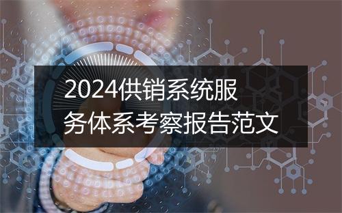 2024供销系统服务体系考察报告范文