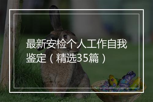 最新安检个人工作自我鉴定（精选35篇）