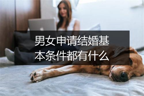 男女申请结婚基本条件都有什么