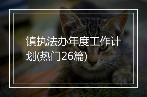 镇执法办年度工作计划(热门26篇)