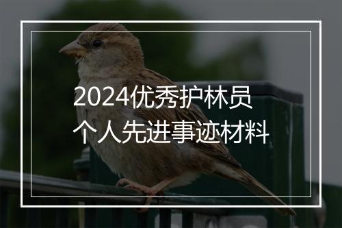 2024优秀护林员个人先进事迹材料