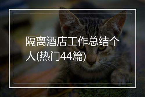 隔离酒店工作总结个人(热门44篇)