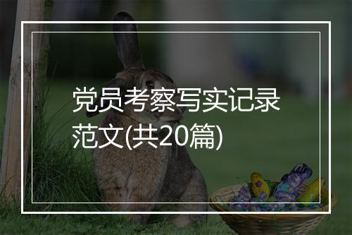 党员考察写实记录范文(共20篇)