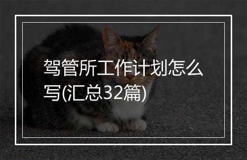 驾管所工作计划怎么写(汇总32篇)