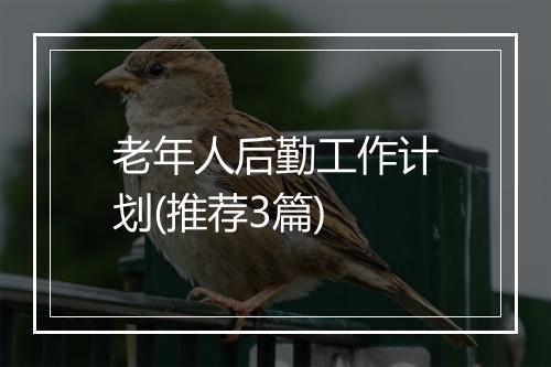 老年人后勤工作计划(推荐3篇)