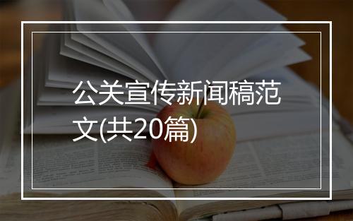 公关宣传新闻稿范文(共20篇)