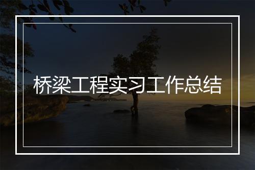 桥梁工程实习工作总结