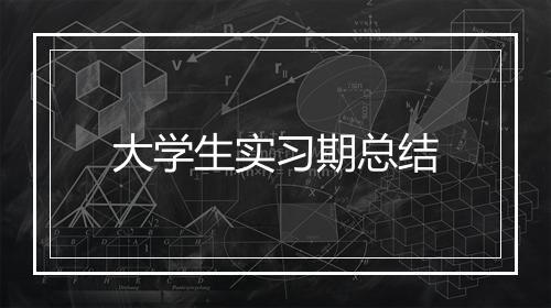 大学生实习期总结