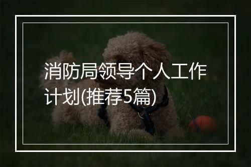 消防局领导个人工作计划(推荐5篇)