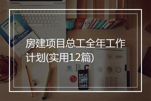 房建项目总工全年工作计划(实用12篇)