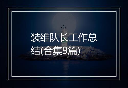 装维队长工作总结(合集9篇)