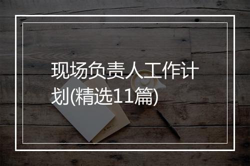现场负责人工作计划(精选11篇)
