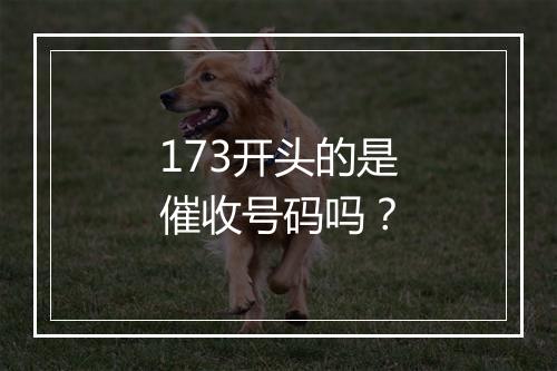 173开头的是催收号码吗？