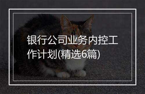 银行公司业务内控工作计划(精选6篇)