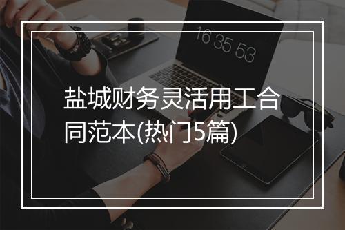 盐城财务灵活用工合同范本(热门5篇)