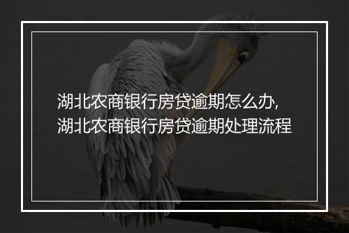 湖北农商银行房贷逾期怎么办,湖北农商银行房贷逾期处理流程