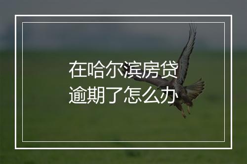 在哈尔滨房贷逾期了怎么办