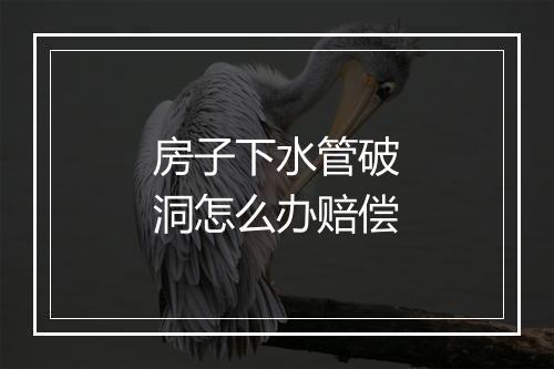 房子下水管破洞怎么办赔偿